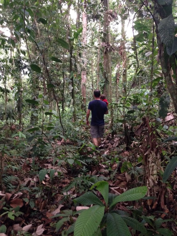 Caminando por la zona de reforestación.