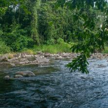 Don Fernando Especialidades Cárnicas