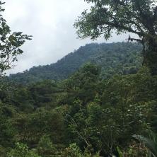 Fotografía de la reserva